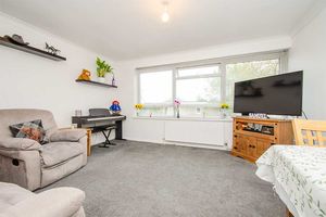 Photo 3- click for photo gallery